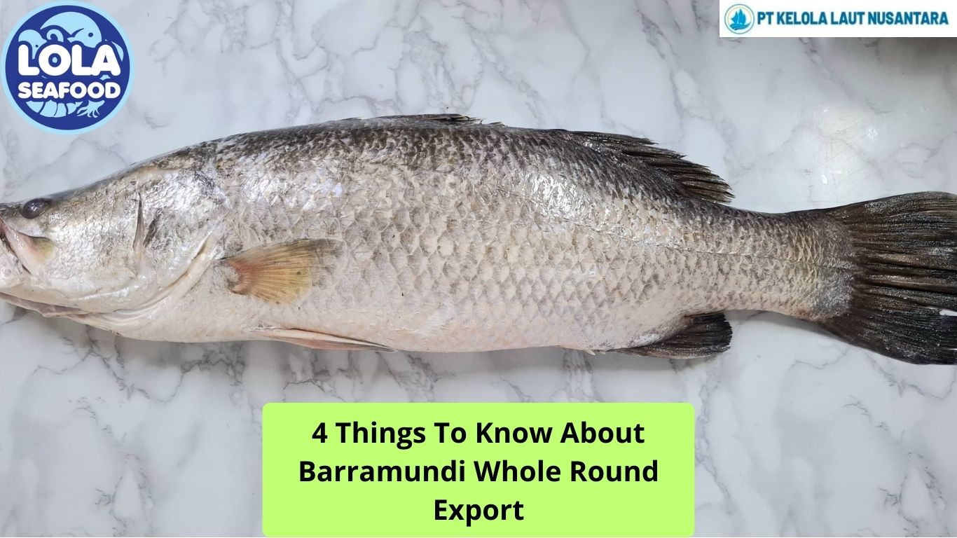 4 Things To Know About Barramundi Whole Round Export